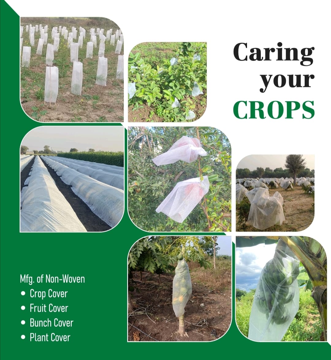 Agriculture Crop Cover plenary